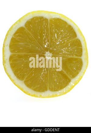 Tranche de citron jaune Citrus limonum AGAINST WHITE BACKGROUND Banque D'Images
