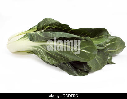 La Bette Beta vulgaris, LÉGUMES CONTRE FOND BLANC Banque D'Images