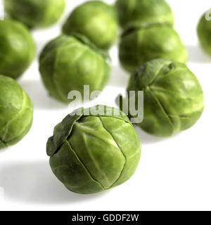 Les choux de Bruxelles, le brassica oleracea, légumes contre fond blanc Banque D'Images