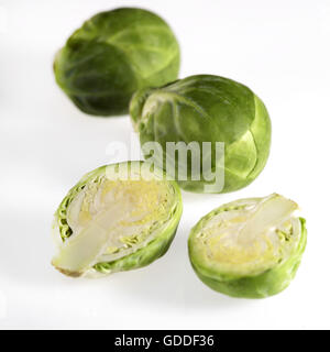 Les choux de Bruxelles, le brassica oleracea, légumes contre fond blanc Banque D'Images