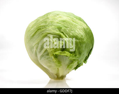 Les choux de Bruxelles, le brassica oleracea, légumes contre fond blanc Banque D'Images