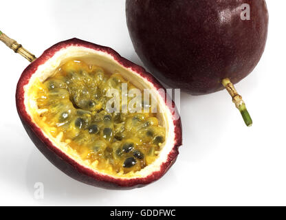 FRUIT DE LA PASSION Passiflora edulis AGAINST WHITE BACKGROUND Banque D'Images