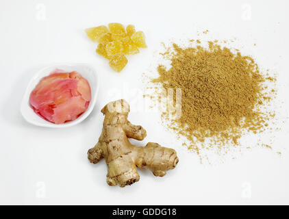 Le GINGEMBRE Zingiber officinale, poudre, cristallisé et mariné, racine Banque D'Images