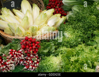 Avec blocage du marché, chicorée cichorium endivia, Red Radish Raphanus sativus et salades, cichorium intybus Banque D'Images