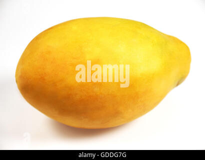 PAW PAW OU PAPAYE Carica papaya AGAINST WHITE BACKGROUND Banque D'Images