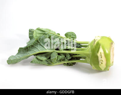 Chou-rave, Brassica oleracea, légumes contre fond blanc Banque D'Images