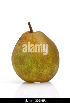 Beurre Hardy Poire, Pyrus communis, Fruit against White Background Banque D'Images