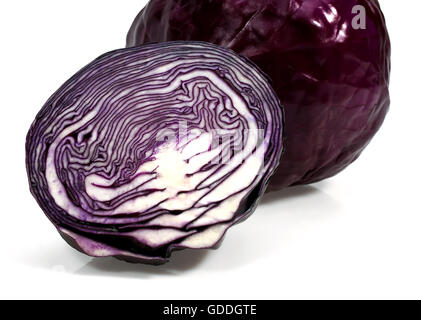 Chou rouge Brassica oleracea, légumes contre fond blanc Banque D'Images