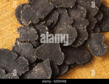 La truffe du Périgord tuber melanosporum, Banque D'Images