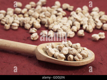 Les Pois chiches secs, Cicer arietinum Banque D'Images