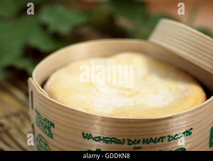 Vacherin Mont d'Or, fromage au lait de vache en Suisse et Jura français Banque D'Images