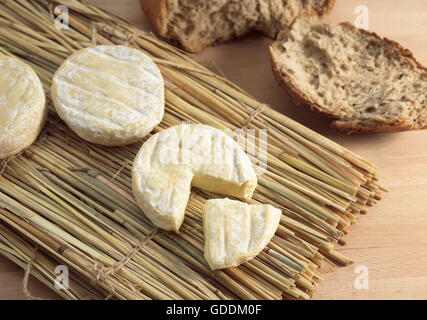 SAINT MARCELLIN, UN FROMAGE FRANÇAIS AU LAIT DE VACHE Banque D'Images