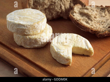 SAINT MARCELLIN, UN FROMAGE FRANÇAIS AU LAIT DE VACHE Banque D'Images