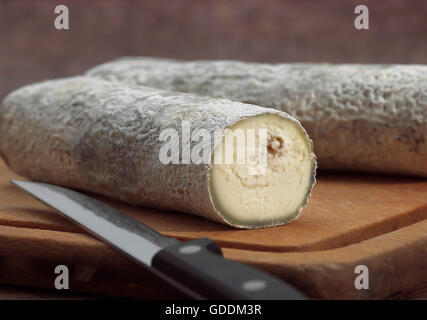 Fromage Français appelé Sainte Maure de Touraine, le fromage fait de lait de chèvre