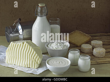 Les produits laitiers, le lait, la crème fraîche, des Cheesen, yaourts, beurre, fromage de chèvre et Cantal Banque D'Images