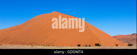 Le Namib-NAUKLUFT Park dans le désert de Namib, SOSSULSVLEI DUNES, DUNE 45 EN NAMIBIE Banque D'Images