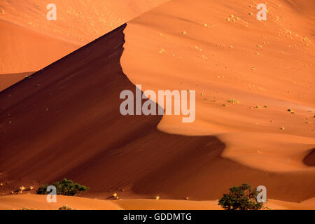 Sossulsvlei dans les dunes du désert du Namib, le Namib Naukluft Park en Namibie Banque D'Images