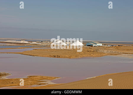 La production de sel, salines de Salins à Walvis Bay, près de la Namibie, Banque D'Images