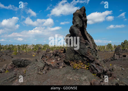 USA,Europa,,Hawaii, Big Island, Volcanoes National Park,UNESCO du patrimoine mondial,le long du désert de lave o Chaîne Banque D'Images