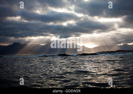 Coucher du soleil sur l'île Seal, FALSE BAY EN AFRIQUE DU SUD Banque D'Images