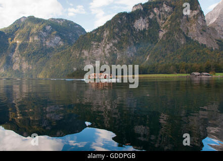 Bavière Haute-bavière,Allemagne,sur,tradition,région de Berchtesgaden Königsee,,Königssee Königssee,,tradition,cattl Banque D'Images