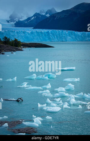 L'Amérique du sud de la patagonie,Argentine,Santa Cruz, El Calafate, le Parc National Los Glaciares, classé au Patrimoine Mondial de l'UNESCO,,Andes, Banque D'Images