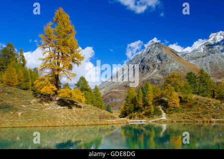 Lac Bleu,Grande Dent de Veisivi,Valais,Suisse Banque D'Images