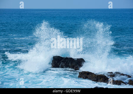 USA,Europa,,Hawaii, Big Island, Sud,Kohala Mahukona,Beach park Banque D'Images