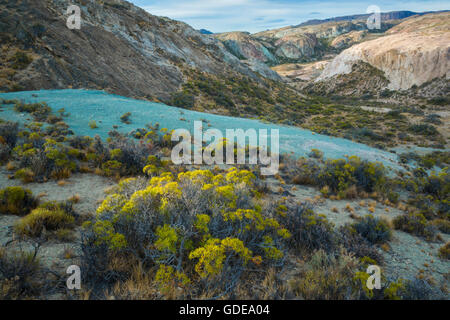 L'Amérique du Sud Argentine,Santa Cruz,Patagonie,Lago Posadas Banque D'Images