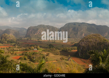 Vue exceptionnelle sur la vallée de Vinales, Pinar del Rio, Cuba Banque D'Images