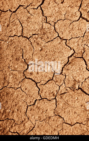 Terrain extrêmement sec craquelé, pénurie d'eau concept Banque D'Images