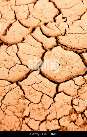 Terrain extrêmement sec craquelé, pénurie d'eau concept Banque D'Images