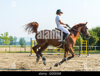 Young Girl riding a horse Banque D'Images