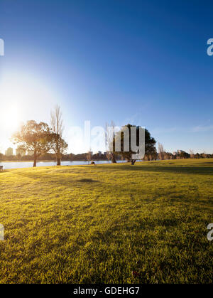 Matin d'été dans le lac Albert Parke, Melbourne, Australie. Banque D'Images