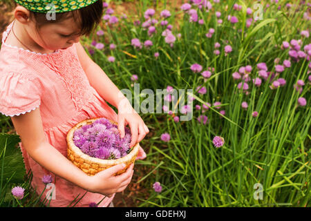 Jeune fille en fleurs jardin ciboulette de récolte Banque D'Images