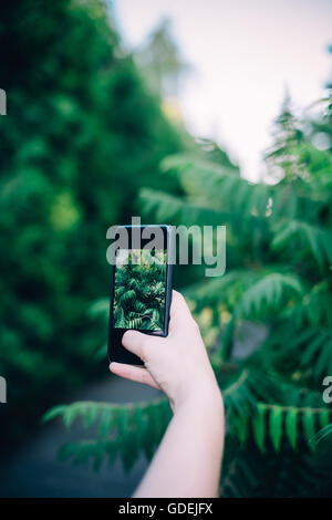 Femme photographiant avec le smartphone plantes Banque D'Images