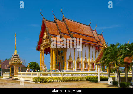 À proximité du Temple Choeng Thale, Thalang, Phuket, Thailand Banque D'Images