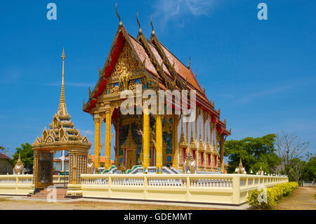 À proximité du Temple Choeng Thale, Thalang, Phuket, Thailand Banque D'Images