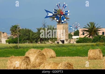 Les moulins à vent près de Sant Jordi, Mallorca, Majorque, Îles Baléares, Espagne Banque D'Images