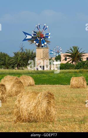 Les moulins à vent près de Sant Jordi, Mallorca, Majorque, Îles Baléares, Espagne Banque D'Images