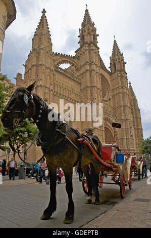 Balade en calèche en face de la cathédrale de Palma de Mallorca, Mallorca, Majorque, Îles Baléares, Espagne Banque D'Images