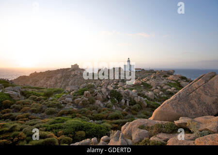 Phare, Capo Testa, Santa Teresa di Gallura, Sardaigne, Italie Banque D'Images