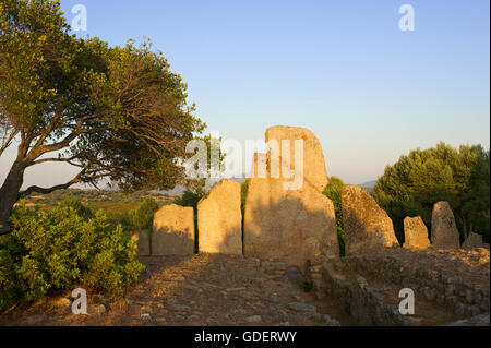 Mégalithe Tomba di Li Lolghi près d'Arzachena, Sardaigne, Italie Banque D'Images