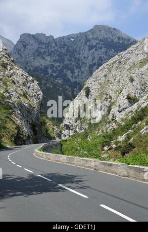 Road, Picos de Europa, l'Espagne, Asturies Banque D'Images