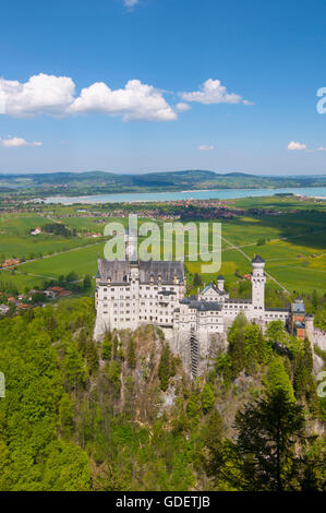 Le château de Neuschwanstein, Füssen, Allgaeu, Bavaria, Germany Banque D'Images