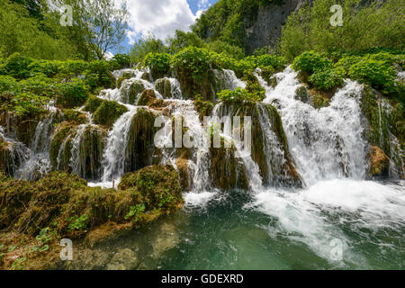 La Croatie, l'Europe, juin 2013, Nationalpark Plitvicer Seen Banque D'Images