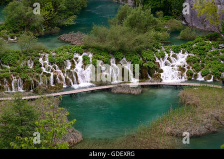 La Croatie, l'Europe, juin 2013, Nationalpark Plitvicer Seen Banque D'Images