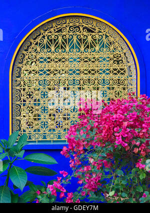 Maroc, Afrique, du jardin botanique Jardin Majorelle, Marrakech Banque D'Images