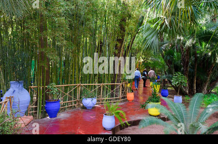 Maroc, Afrique, du jardin botanique Jardin Majorelle, Marrakech Banque D'Images