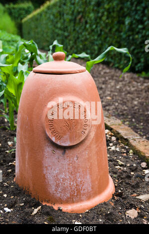 Forceur de rhubarbe en forme de cloche sont des pots avec un couvercle couverts ouverture au sommet. Banque D'Images